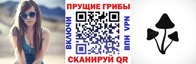 Псилоцибиновые грибы Psilocybine cubensis  Власиха 