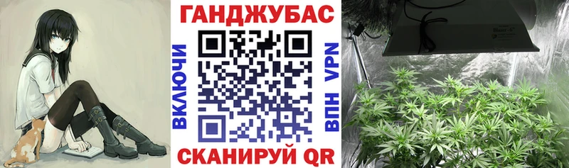 что такое   Власиха  Шишки марихуана семена 